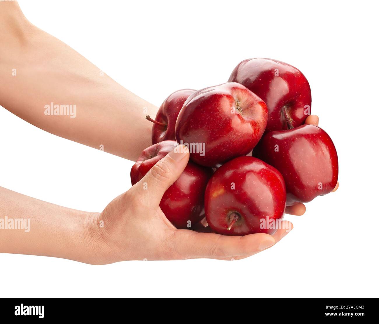 red delicious apple in hand path isolated on white Stock Photo