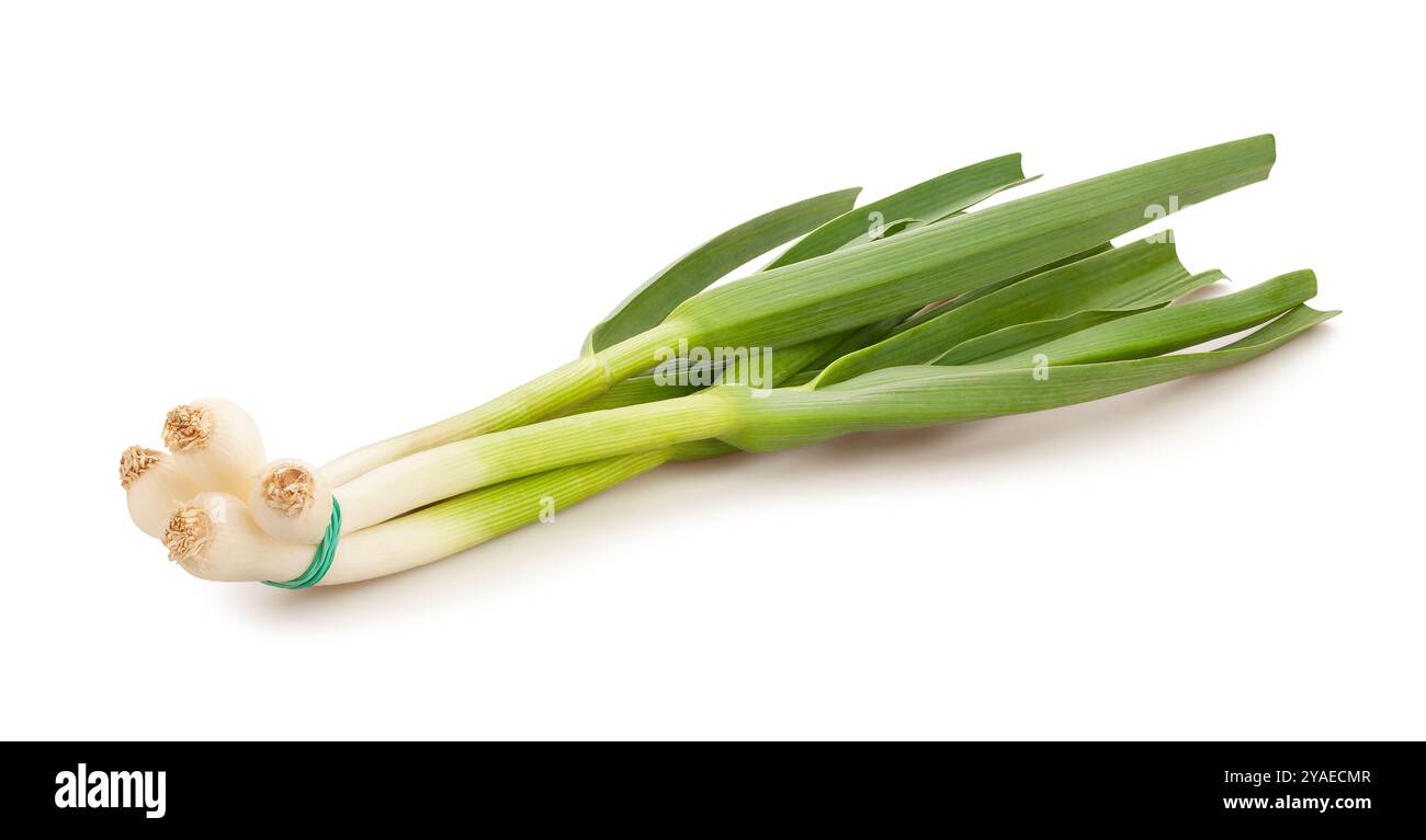 young garlic path isolated on white Stock Photo
