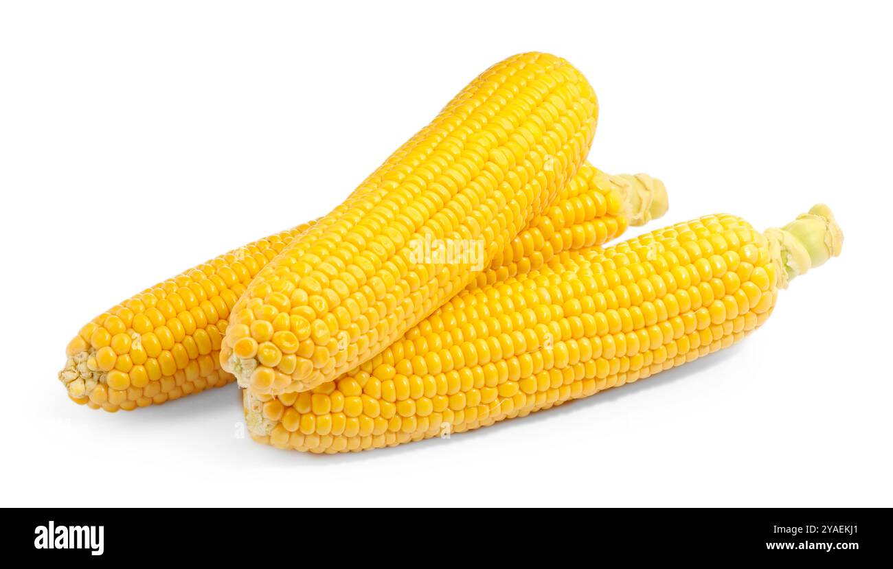 Three fresh ripe corncobs isolated on white Stock Photo