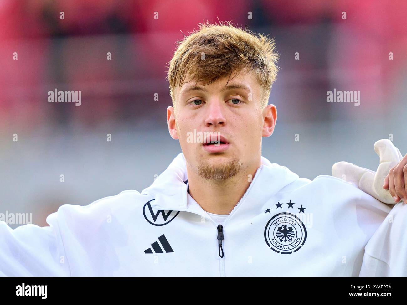 Bulgaria football national team hi-res stock photography and images - Page  14 - Alamy