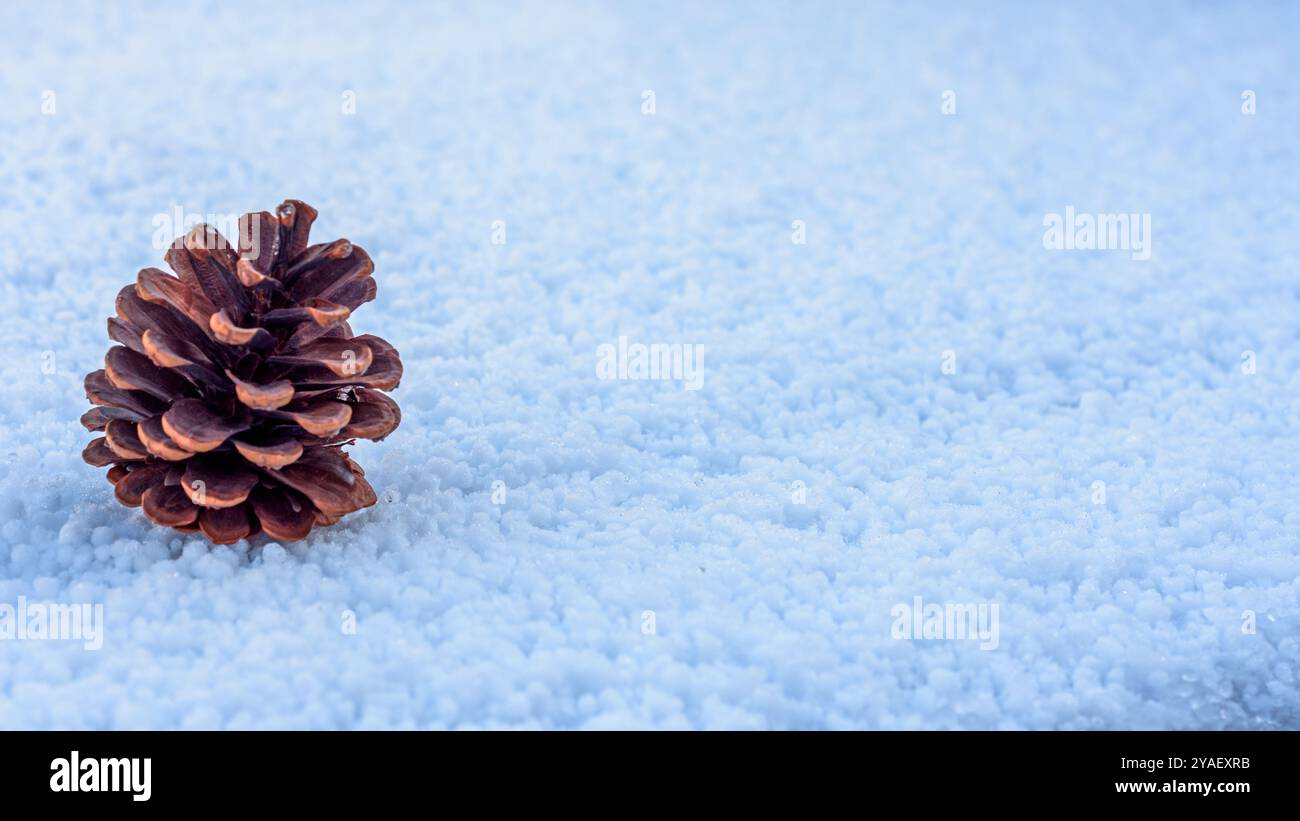 Cone and snow hi-res stock photography and images - Alamy