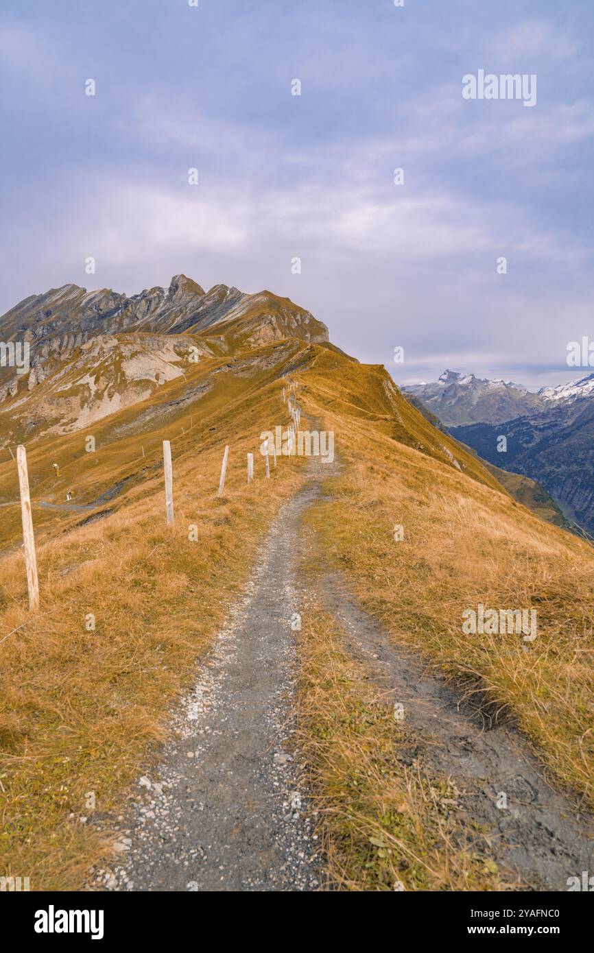 Slaveiu Ridge Remote Path Remote paths hi-res stock photography and images - Alamy