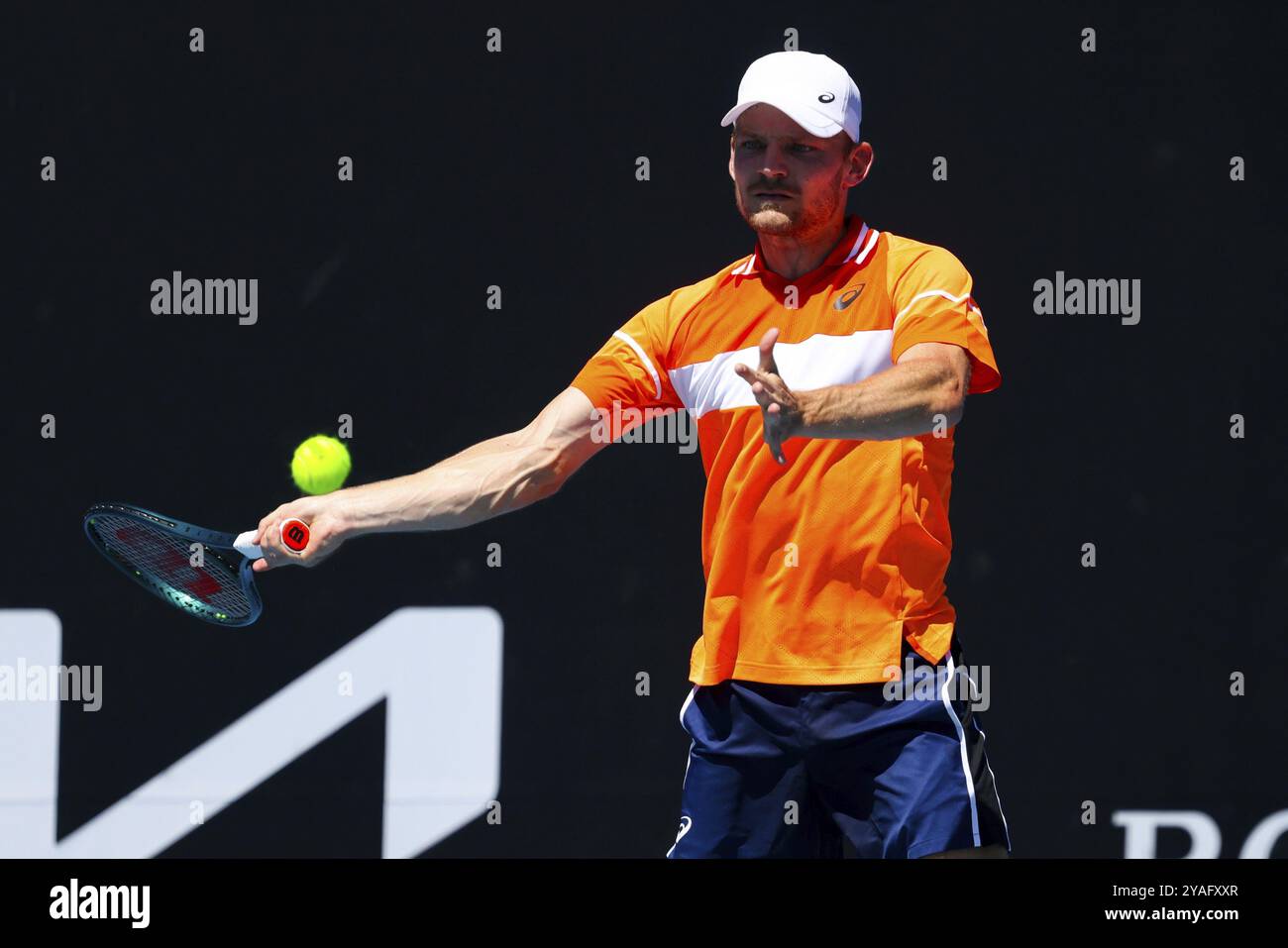 David goffin 2024 hires stock photography and images Alamy