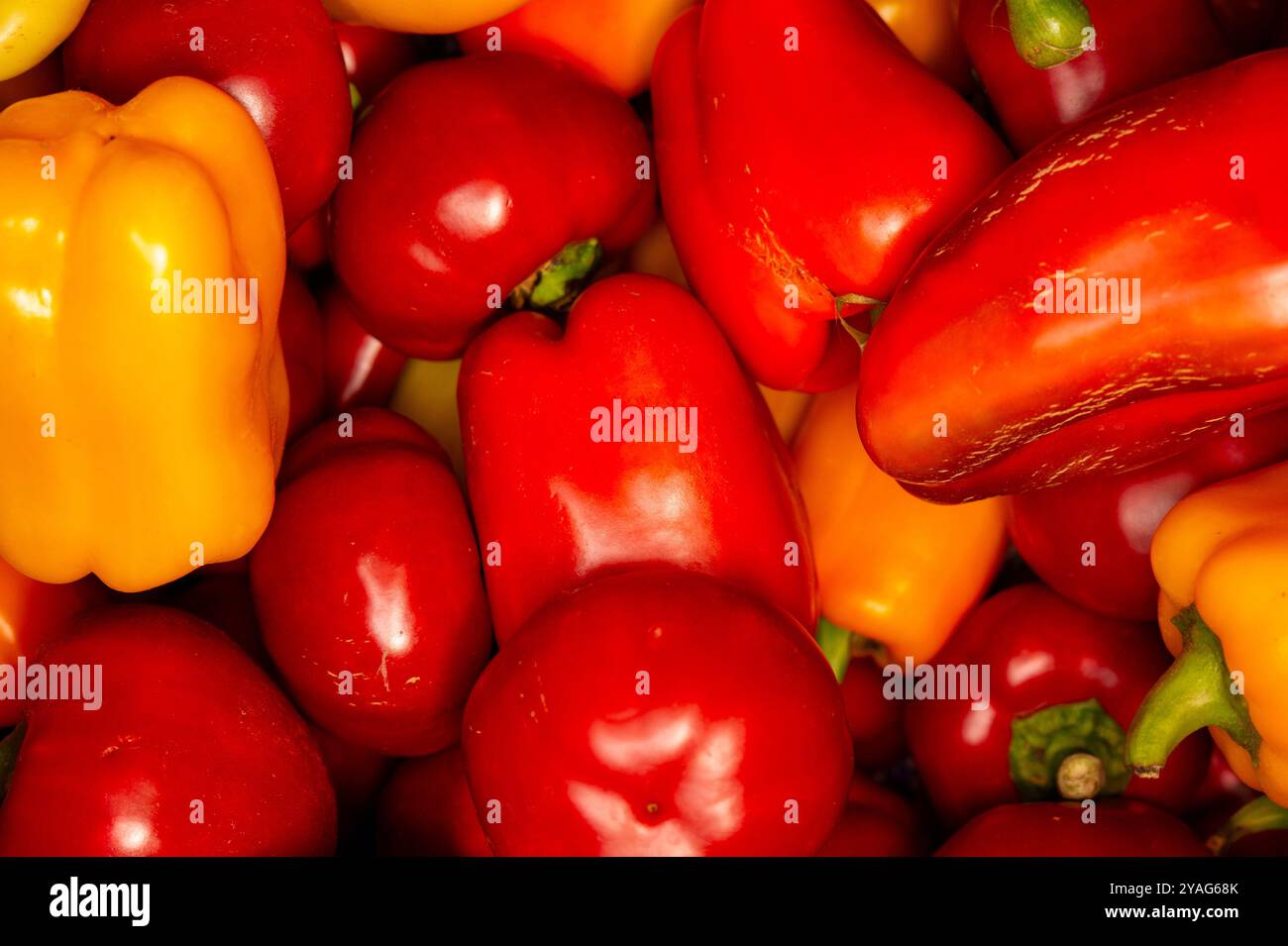 Extravaganza of colors: juicy peppers at the summer market Stock Photo ...