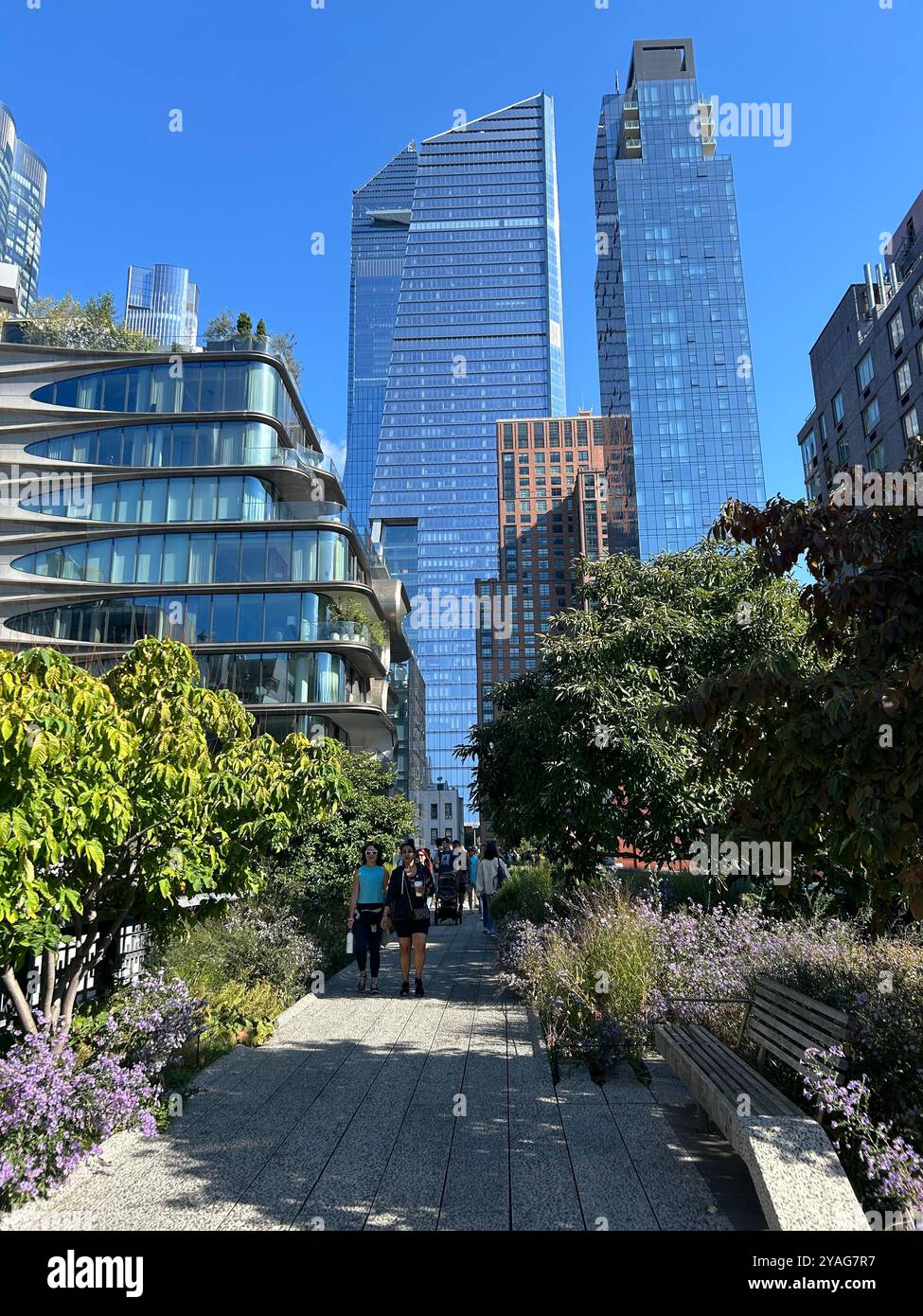 Walking the High Line in New York City on a crisp September morning. Taking in the architecture of Manhattan. - Smartphone Captured Stock Image