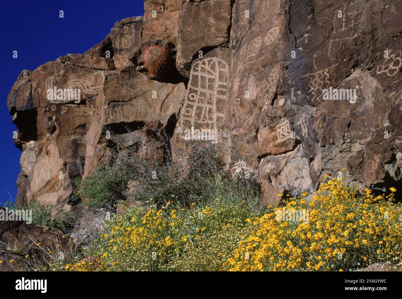 Petroglyphs, AZ USA Stock Photo - Alamy