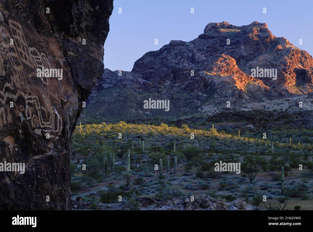 Petroglyphs, AZ USA Stock Photo - Alamy