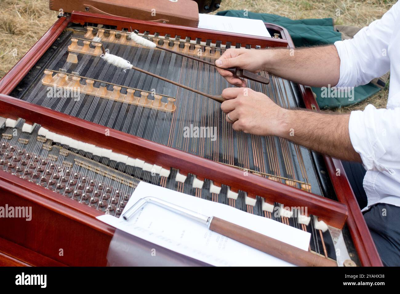 The Hammered Dulcimer Player Musical Instrument Stock Photo - Alamy