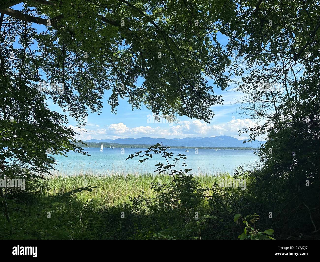 lake starnberg lake front on a sunny summer day - Smartphone Captured Stock Image