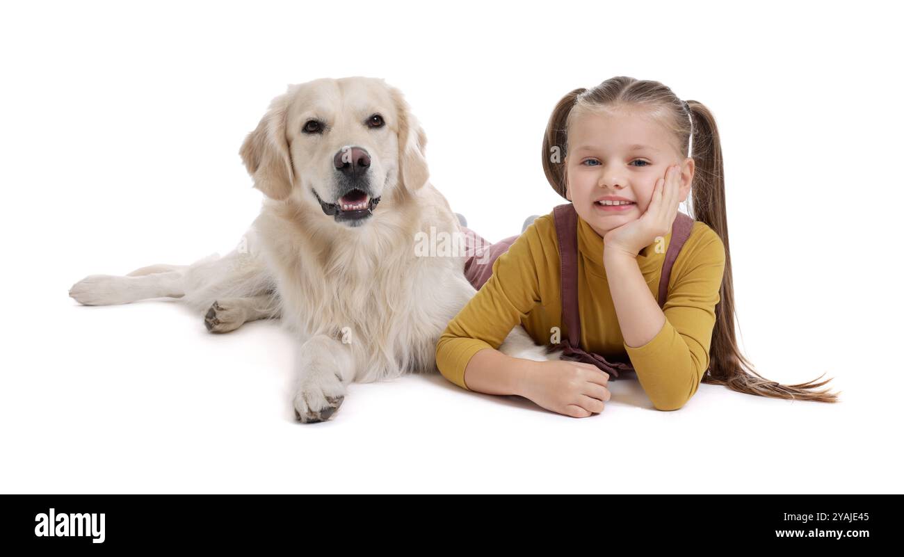 Girl with her cute Golden Retriever dog lying on white background Stock ...