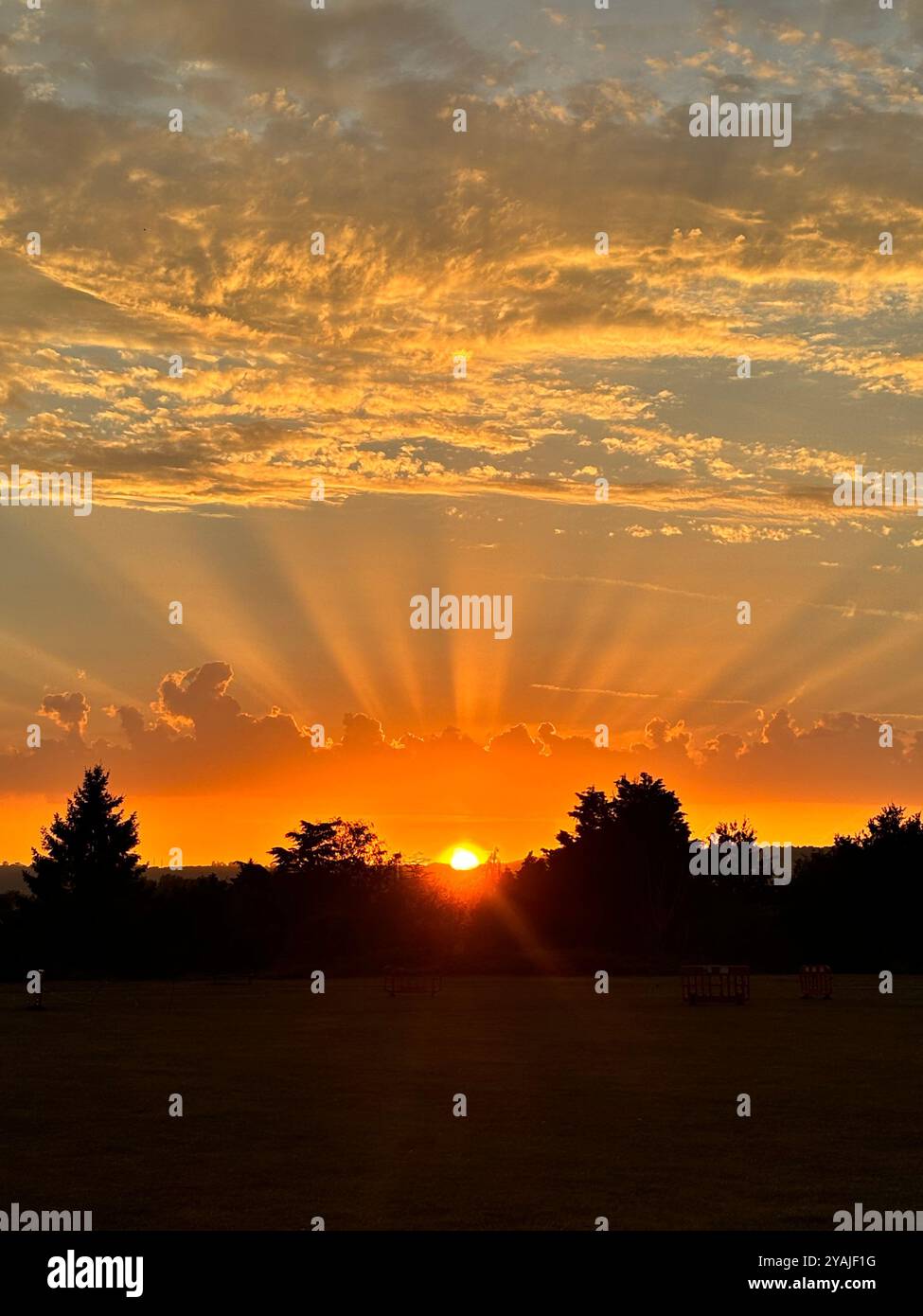 orange sunset in kent, over green landscape and trees - Smartphone Captured Stock Image