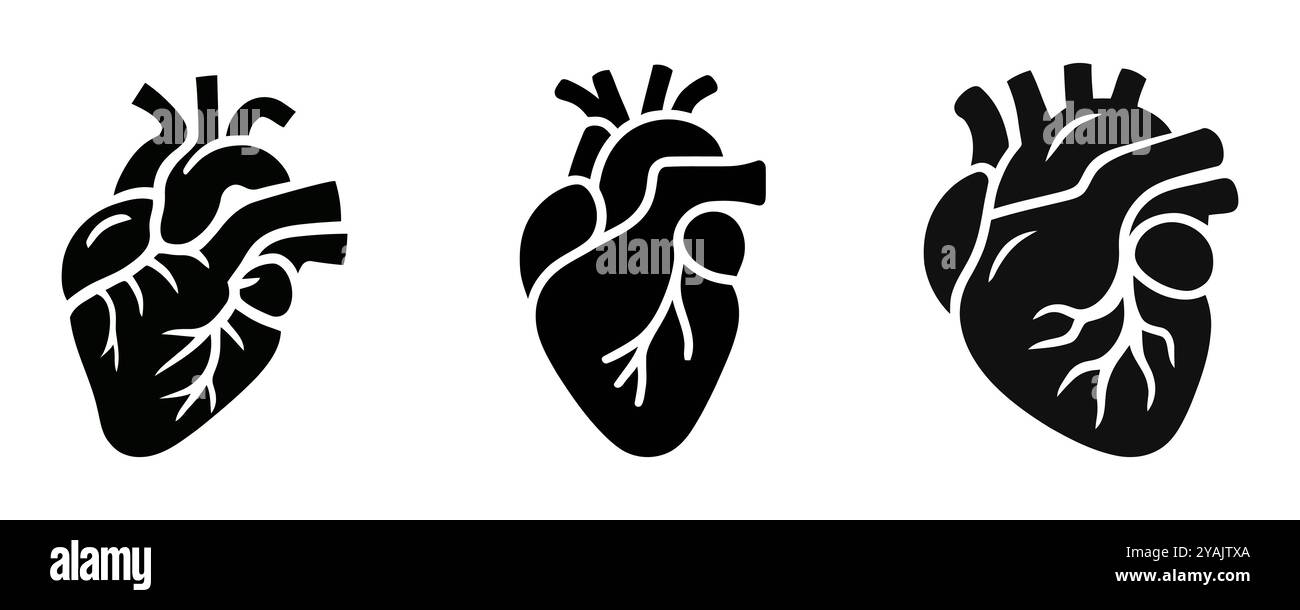 Human heart silhouette vector art Stock Vector Image & Art - Alamy