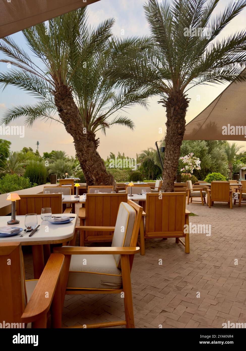 A serene outdoor dining area set among tall palm trees, with wooden chairs and tables arranged for an inviting meal under the open sky. Ambient lighti - Smartphone Captured Stock Image