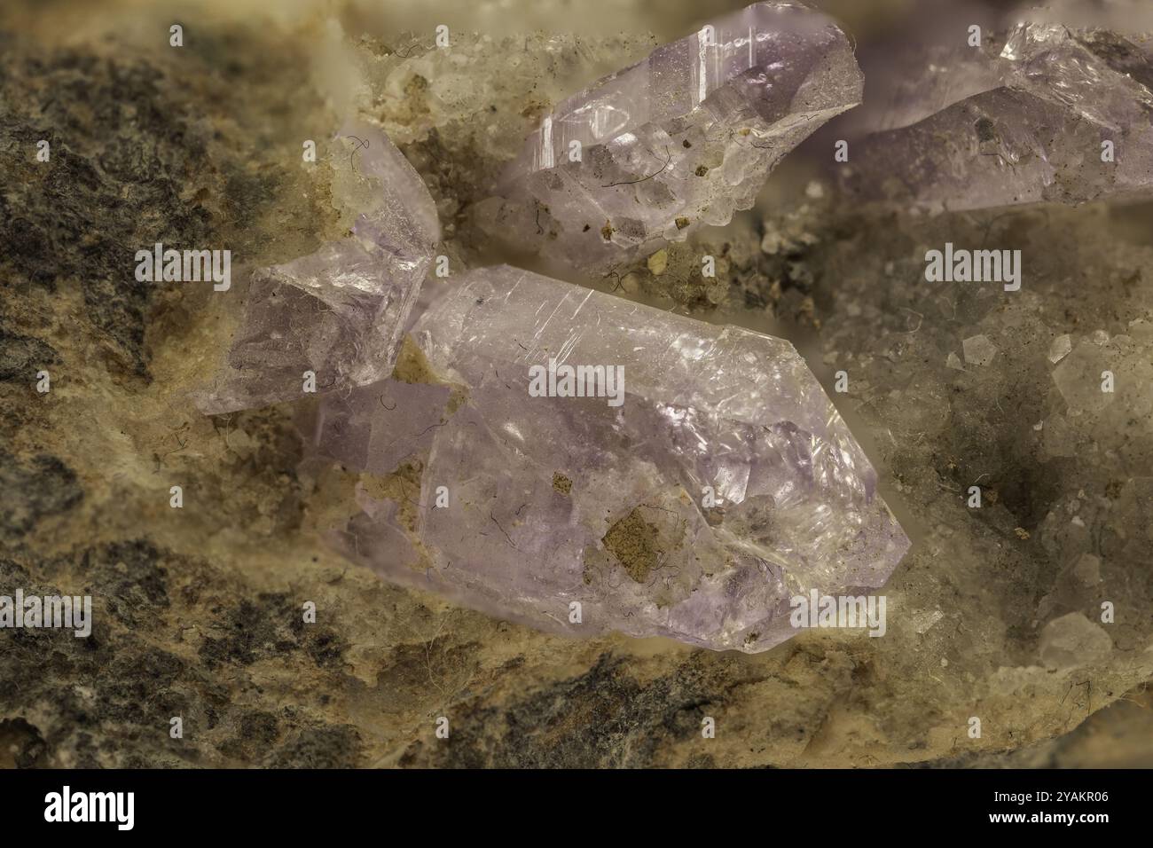 Translucent Amythyst A close-up view of small, raw amethyst crystals with a translucent ...