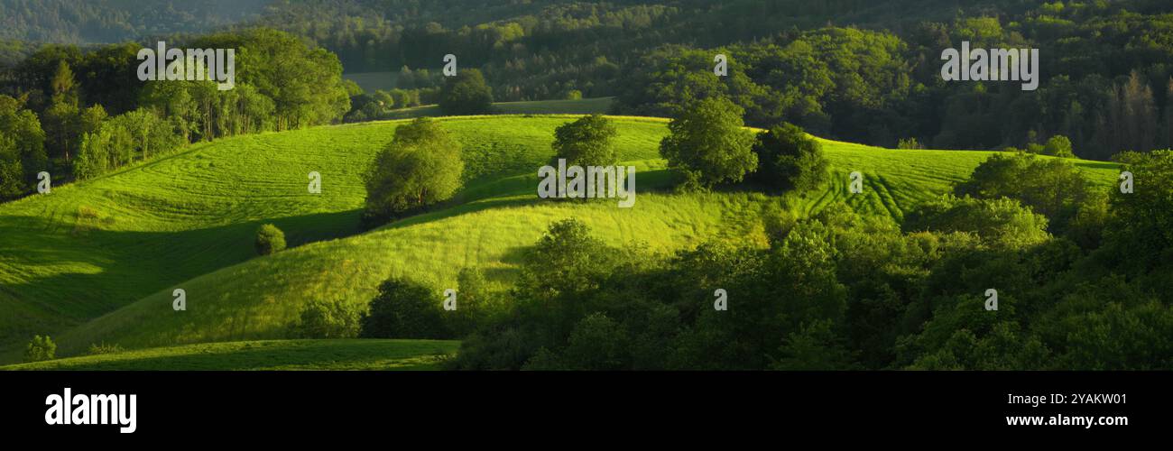 Panoramic view of a green rural paradise in gorgeous sunlight, with trees on rolling hills and lush sunlit grass Stock Photo