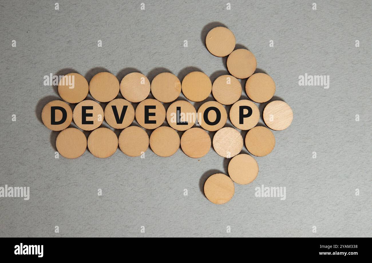Develop word written on wood block. Develop text on cement table for your desing, concept. Stock Photo