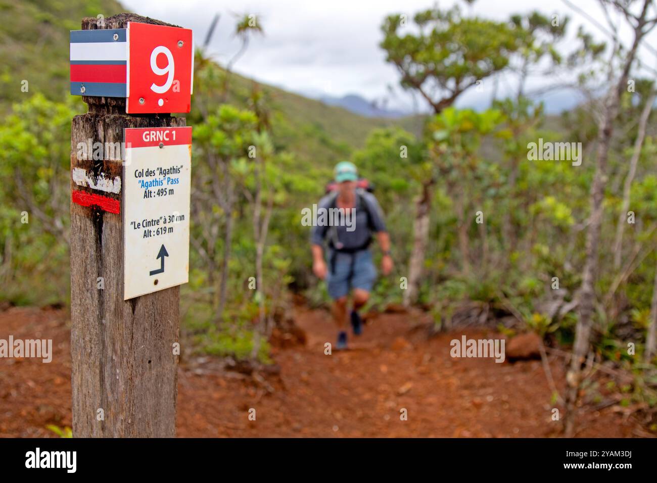 Signage on New Caledonia's GR NC1 long-distance hiking trail Stock ...
