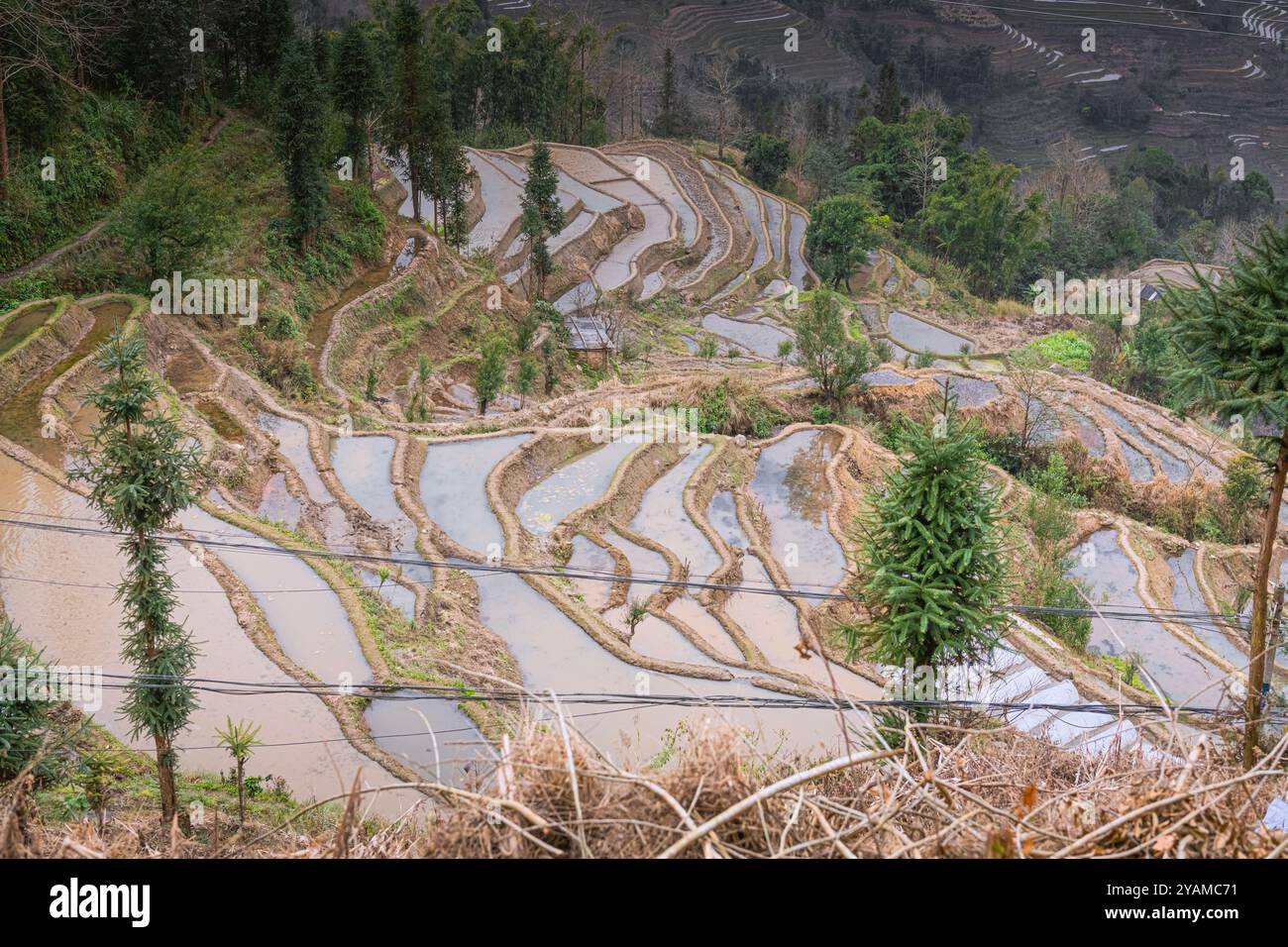 Rice fields full of water in Duoyishu, Yuanyang, China. UNESCO World ...