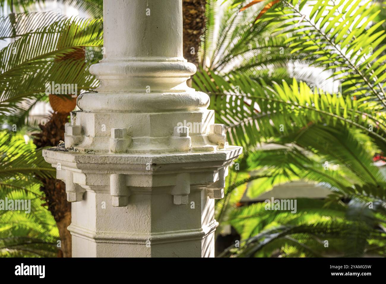 White cast iron column, tropical plants backlit, historic greenhouse ...
