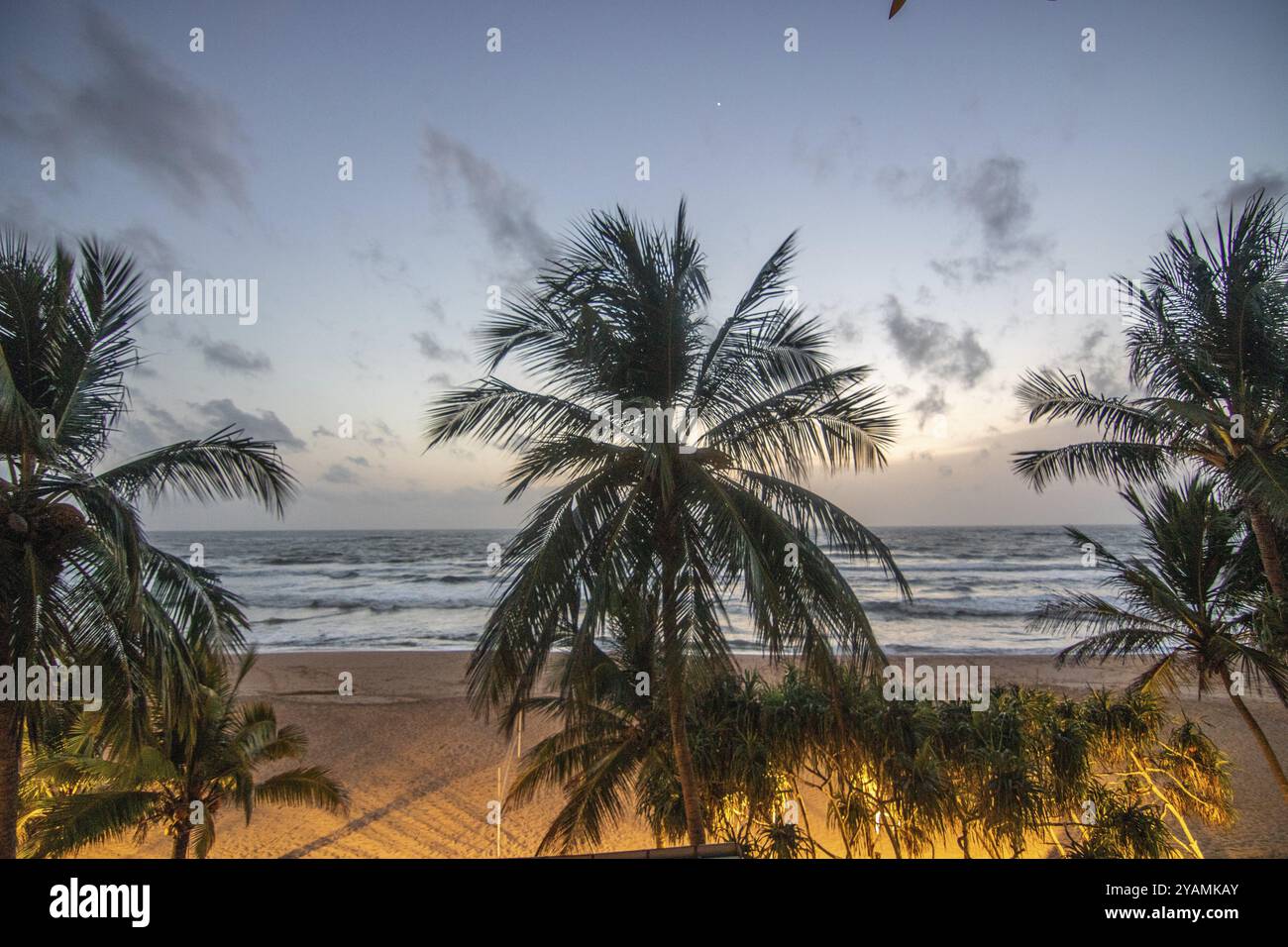 Beach, with plamen and vegetation, view of the sea in the evening at sunset. Landscape with clouds in Induruwa, Bentota Beach, Sri Lanka, India, Asia Stock Photo