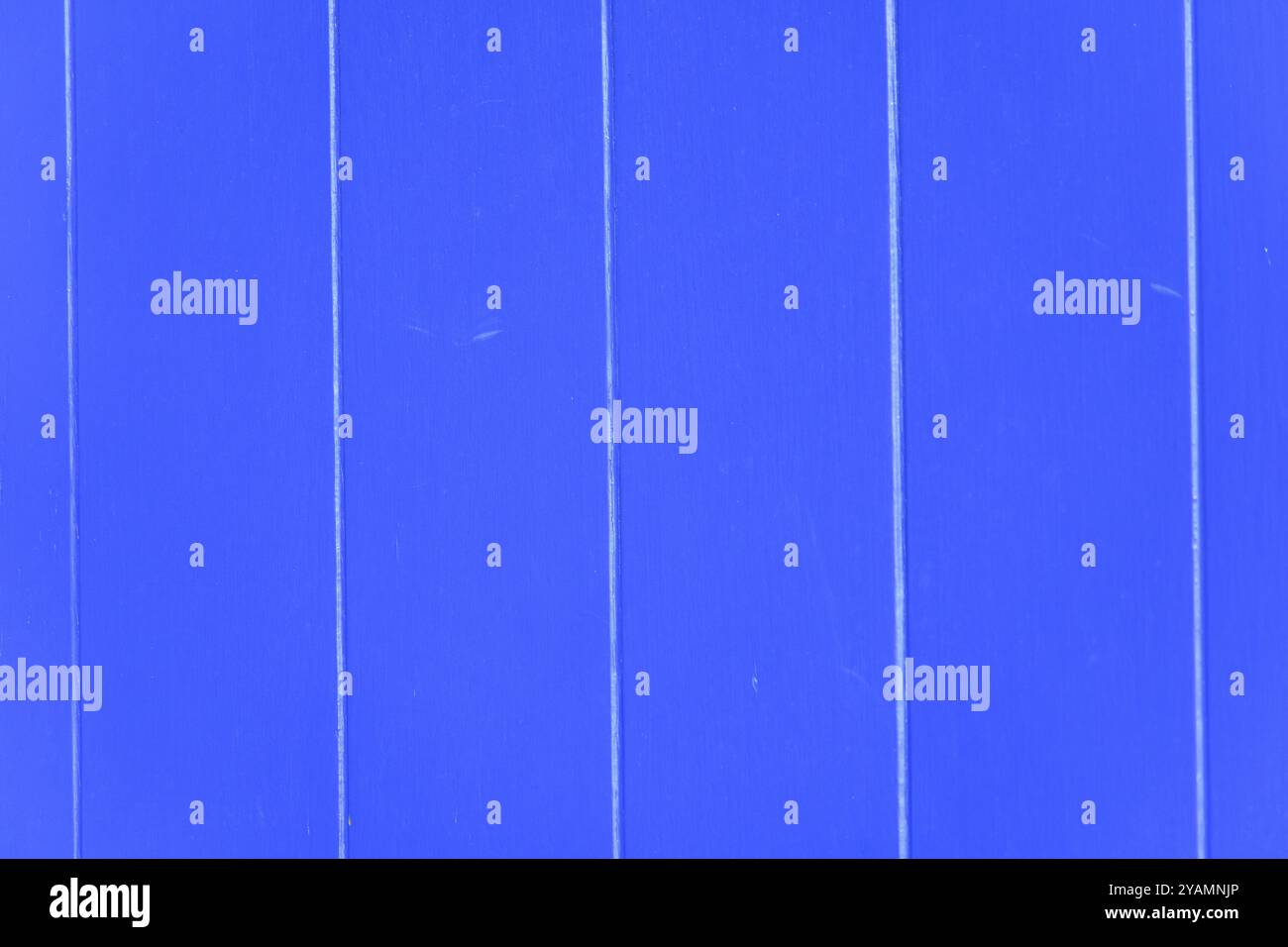 A simple blue paneled wall with vertical lines creates a clean, minimalistic background. Stock Photo