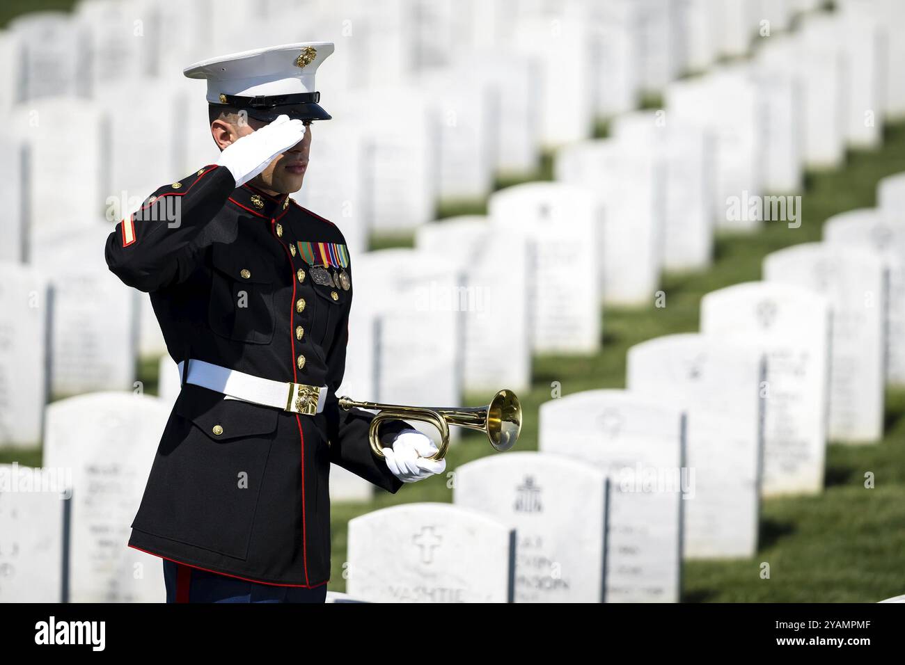 A poignant moment unfolds as a Marine plays taps, honoring a fallen veteran with a solemn salute, marking their internment at a national military ceme Stock Photo