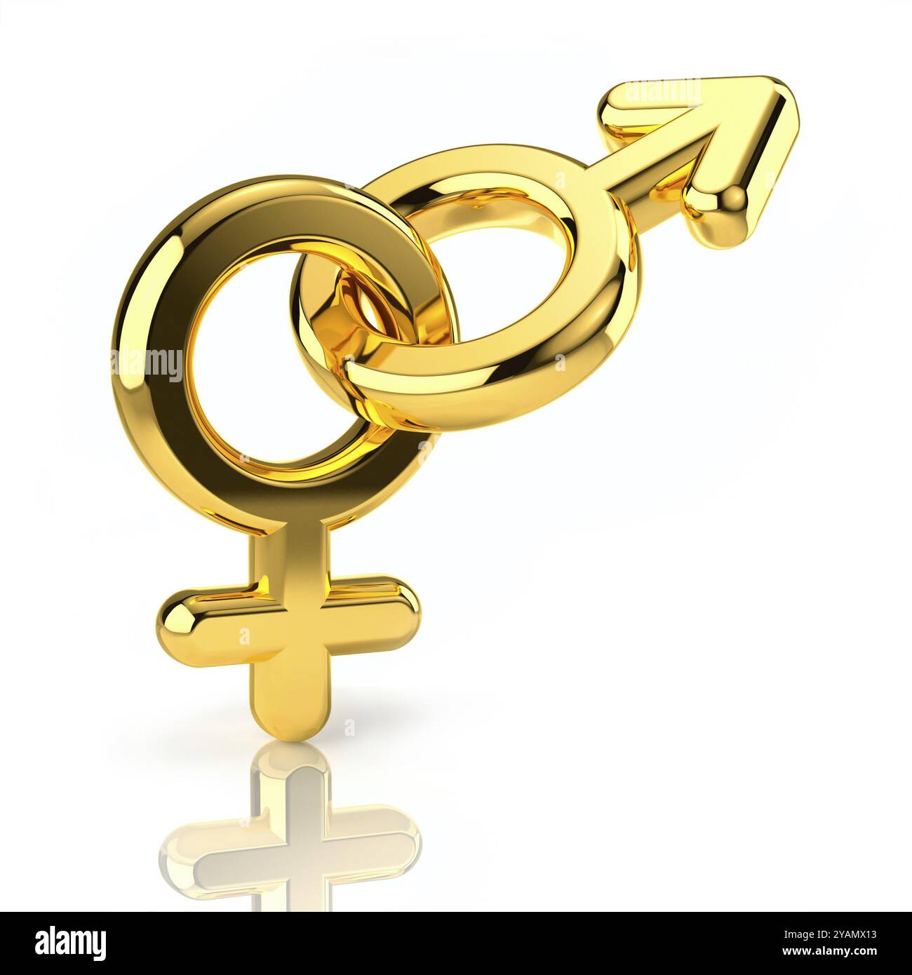 Signs Of Male And Female