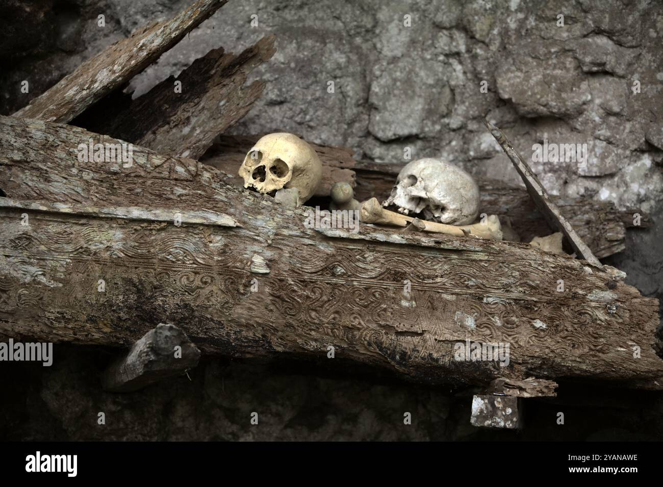 Human skulls at traditional burial site in Kete Kesu village, North Toraja, South Sulawesi, Indonesia. Stock Photo