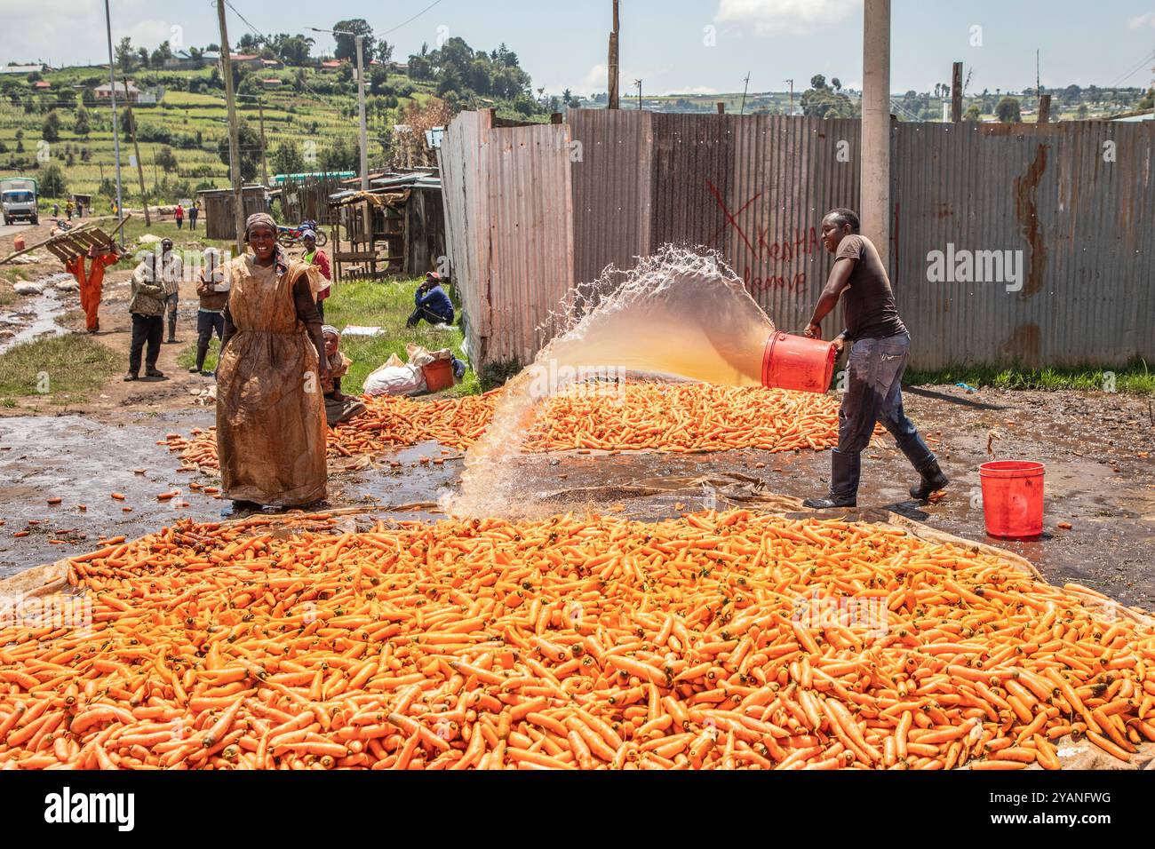 Carrots Getting Washed Wash vegetables before use hi-res stock photography and images - Alamy