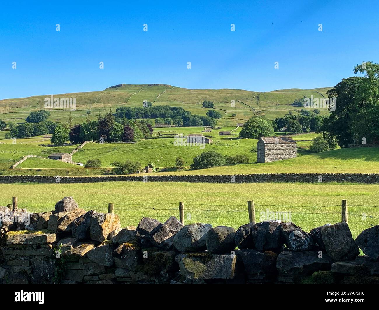 Summer sunshine on the drystone walls and barns in the countryside around Hawes, Wensleydale, North Yorkshire, UK - Smartphone Captured Stock Image