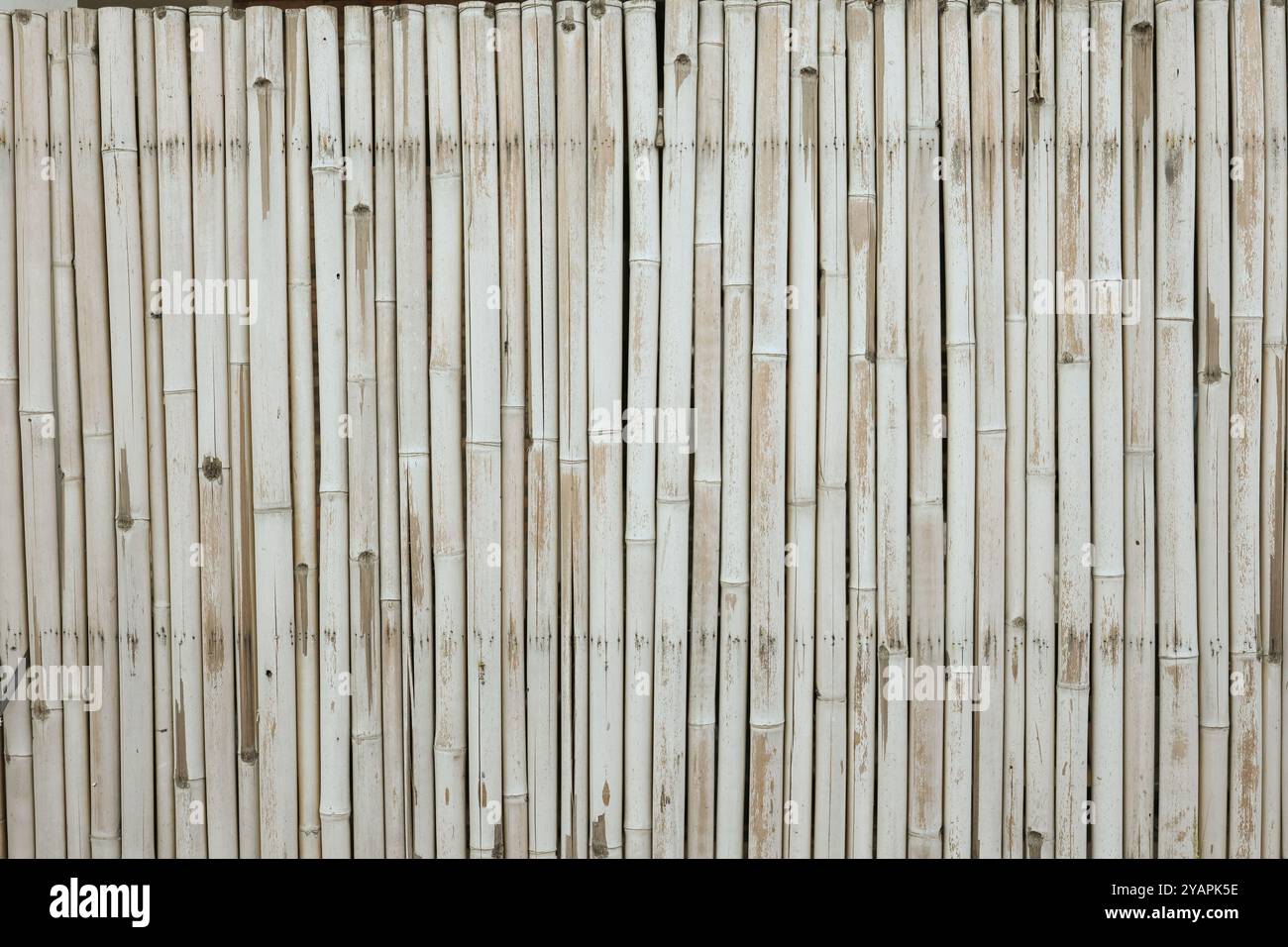 Abstract wall texture made from bamboo background Stock Photo