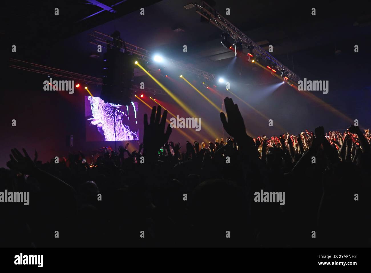 Crowd of people dancing at concert Stock Photo