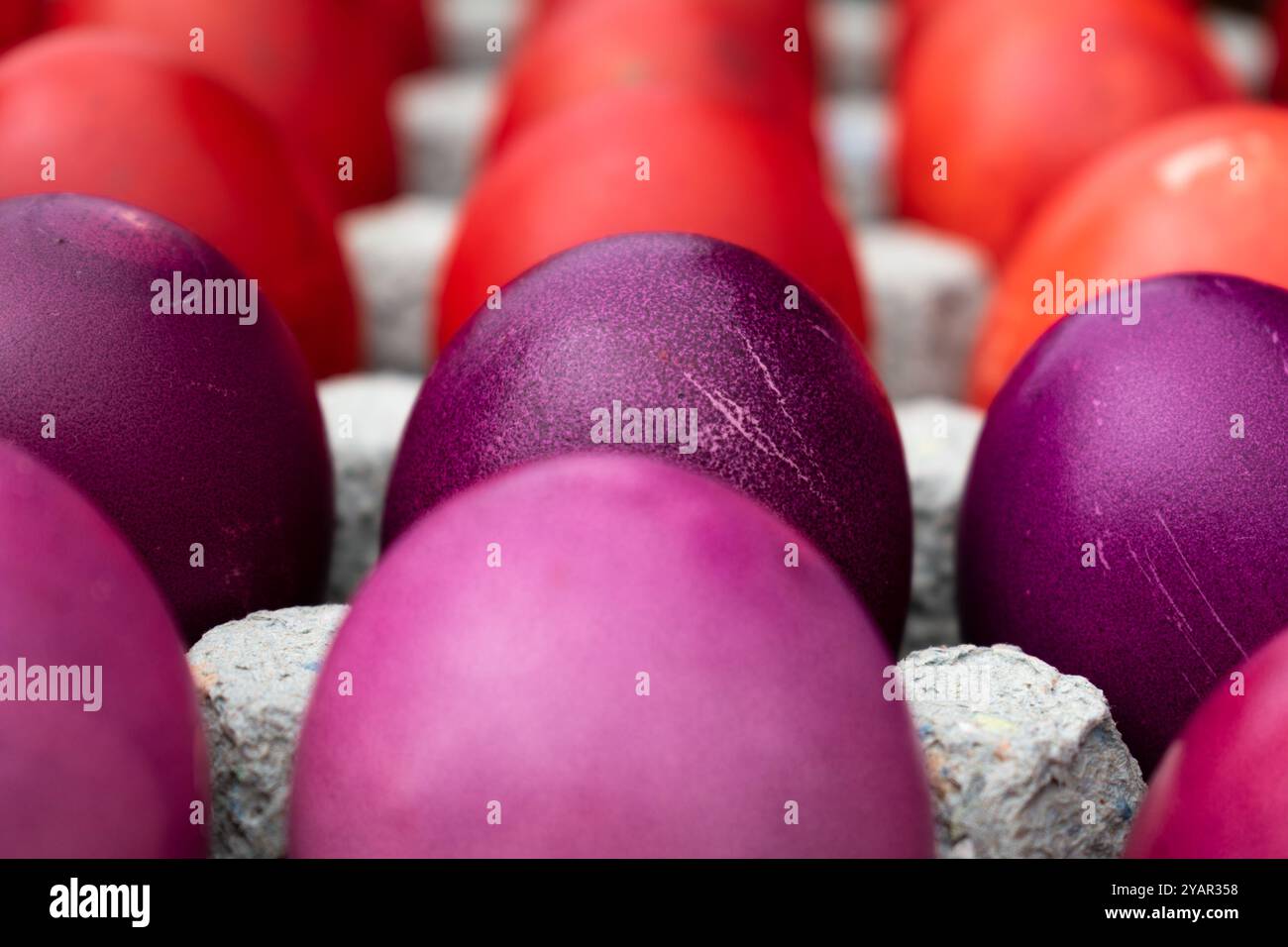 Easter eggs in cardboard egg tray, rows of eggs Stock Photo