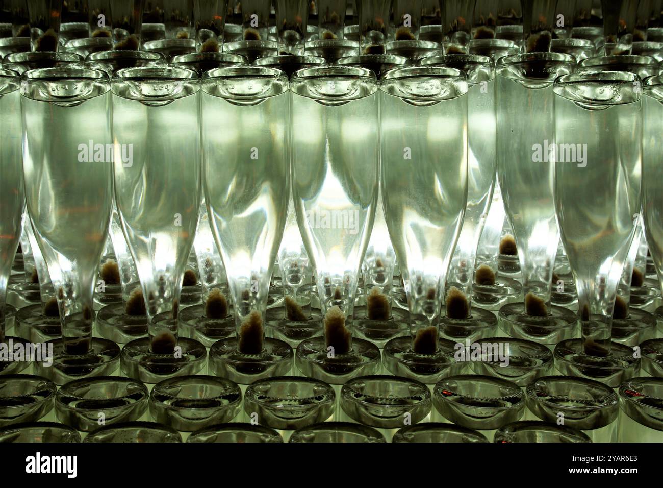 Riddling of bottles hi-res stock photography and images - Alamy