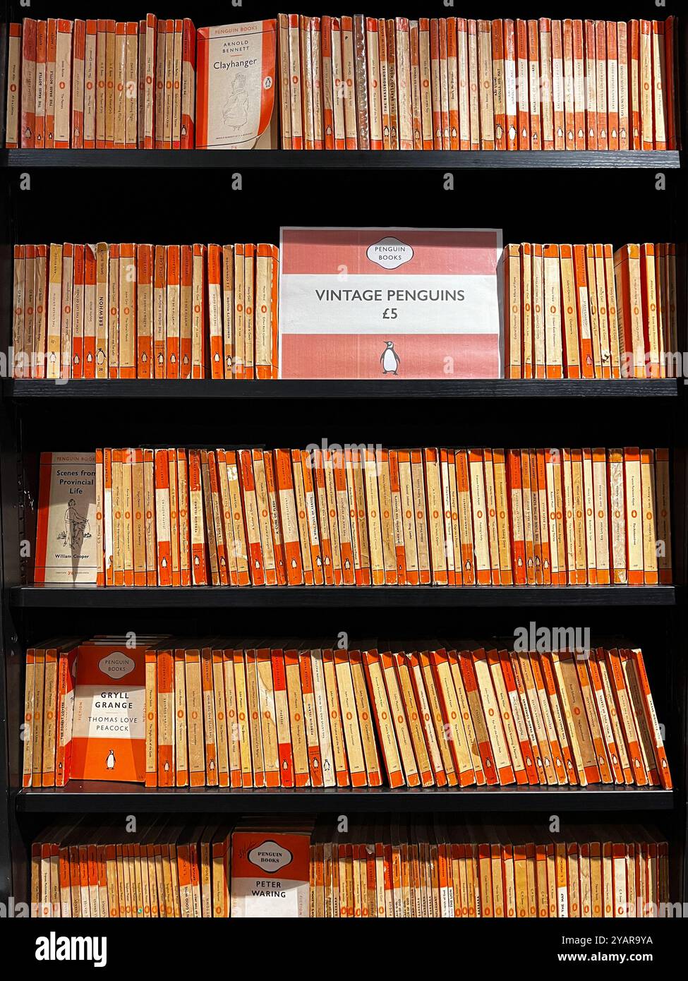 Vintage used orange spine Penguin paperback books for sale in Waterstones bookshop, Leeds Stock Photo
