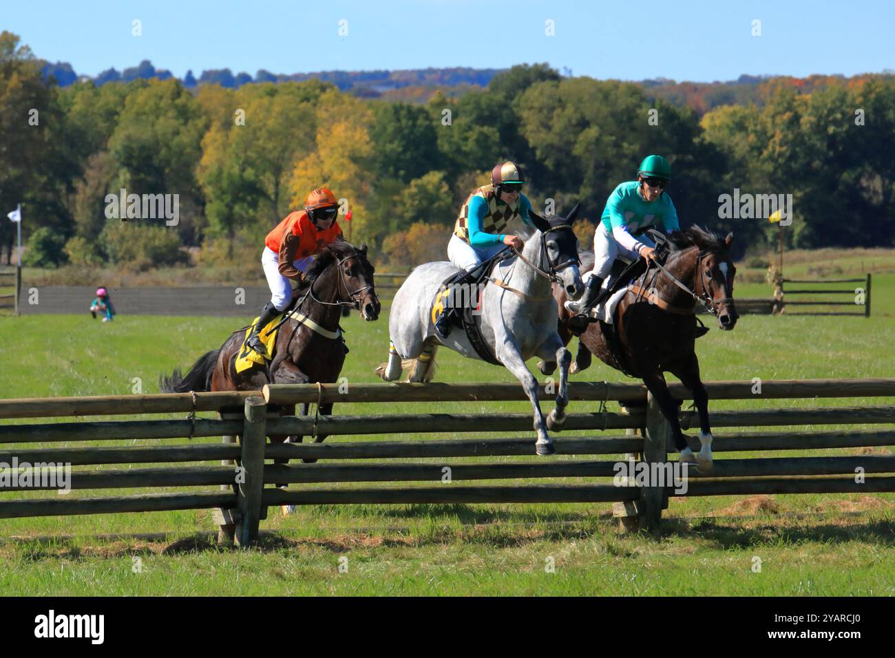 Ping pong champ hi-res stock photography and images - Alamy