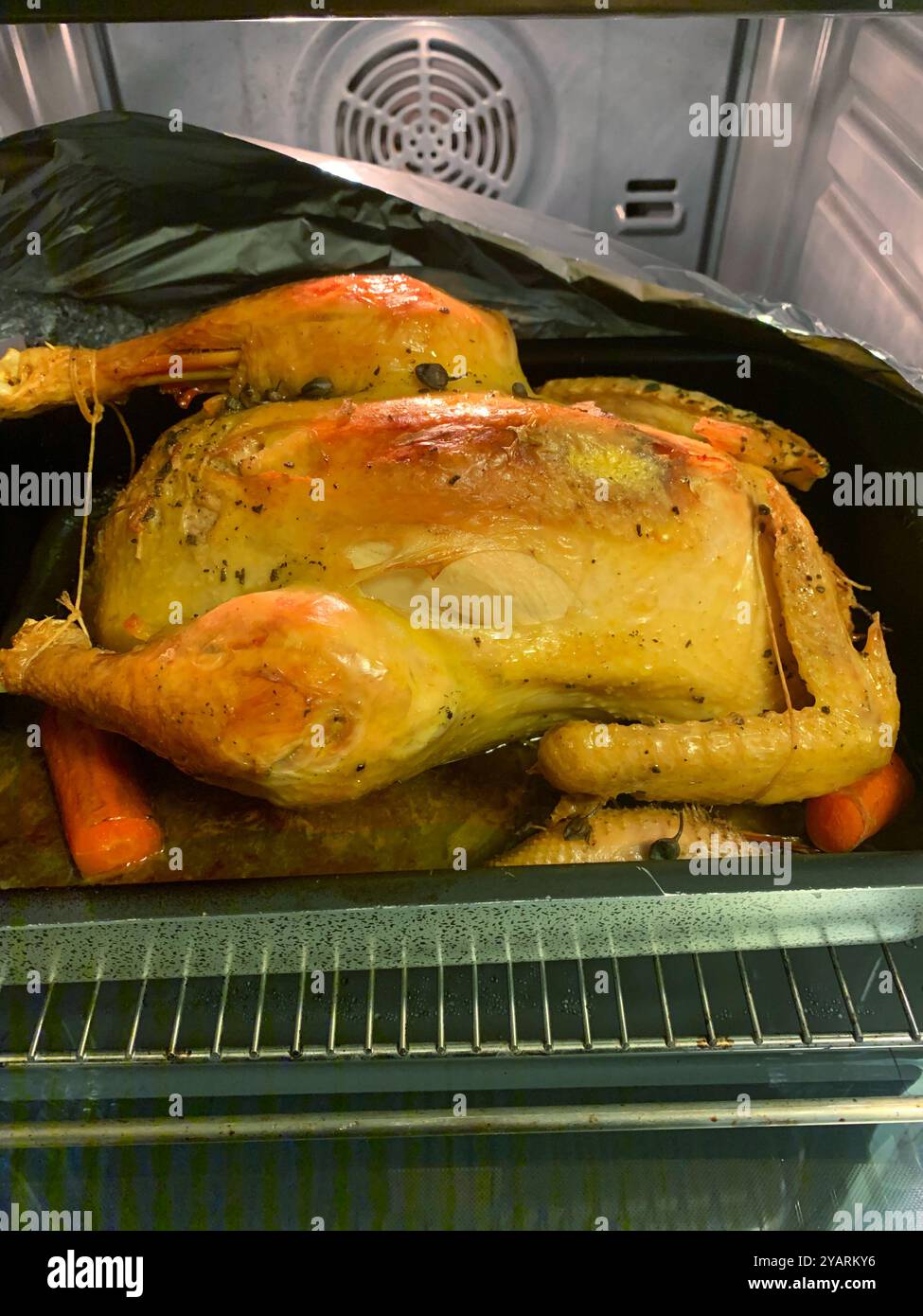 Italy, Lombardy, Stuffed Capon Cooked in Domestic Oven - Smartphone Captured Stock Image
