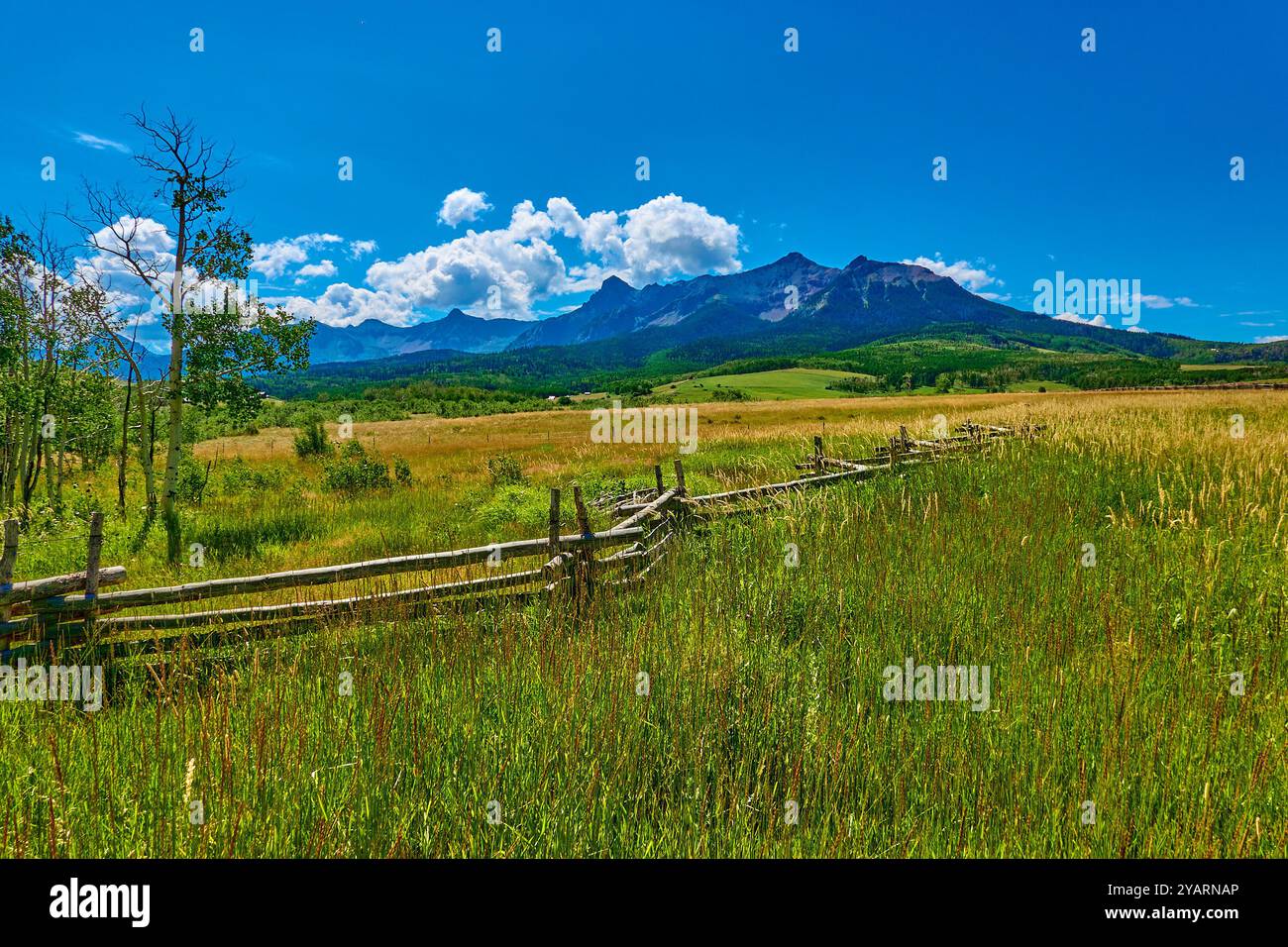 Alpine meadow with fence and view of Mount Sneffels Range in the background. Stock Photo