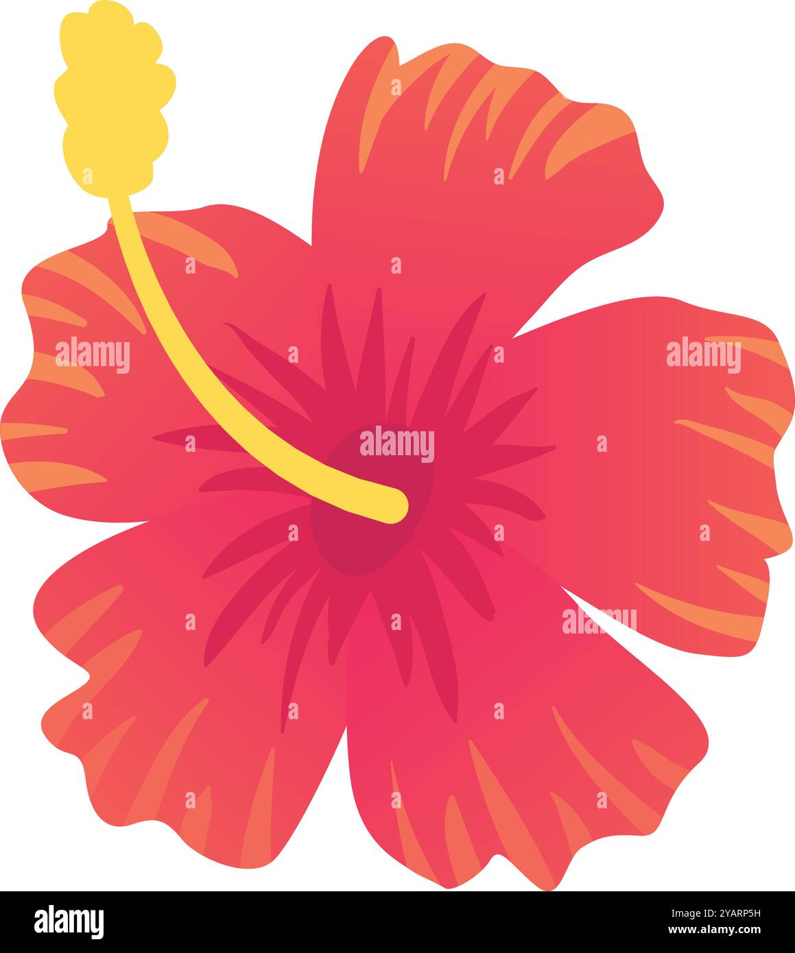 Veins in petals Stock Vector Images