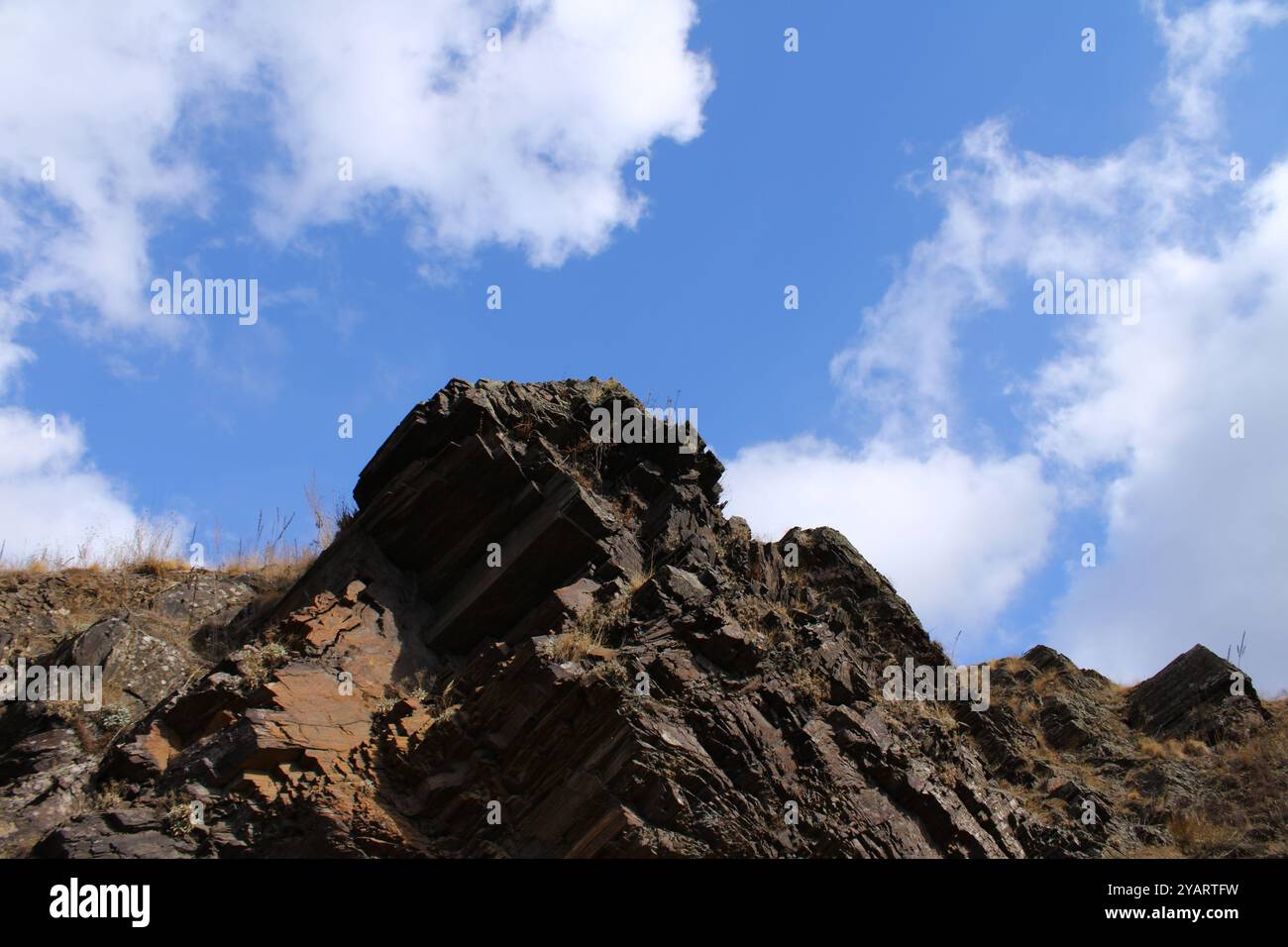 Emphasizing natures artistry hi-res stock photography and images - Alamy