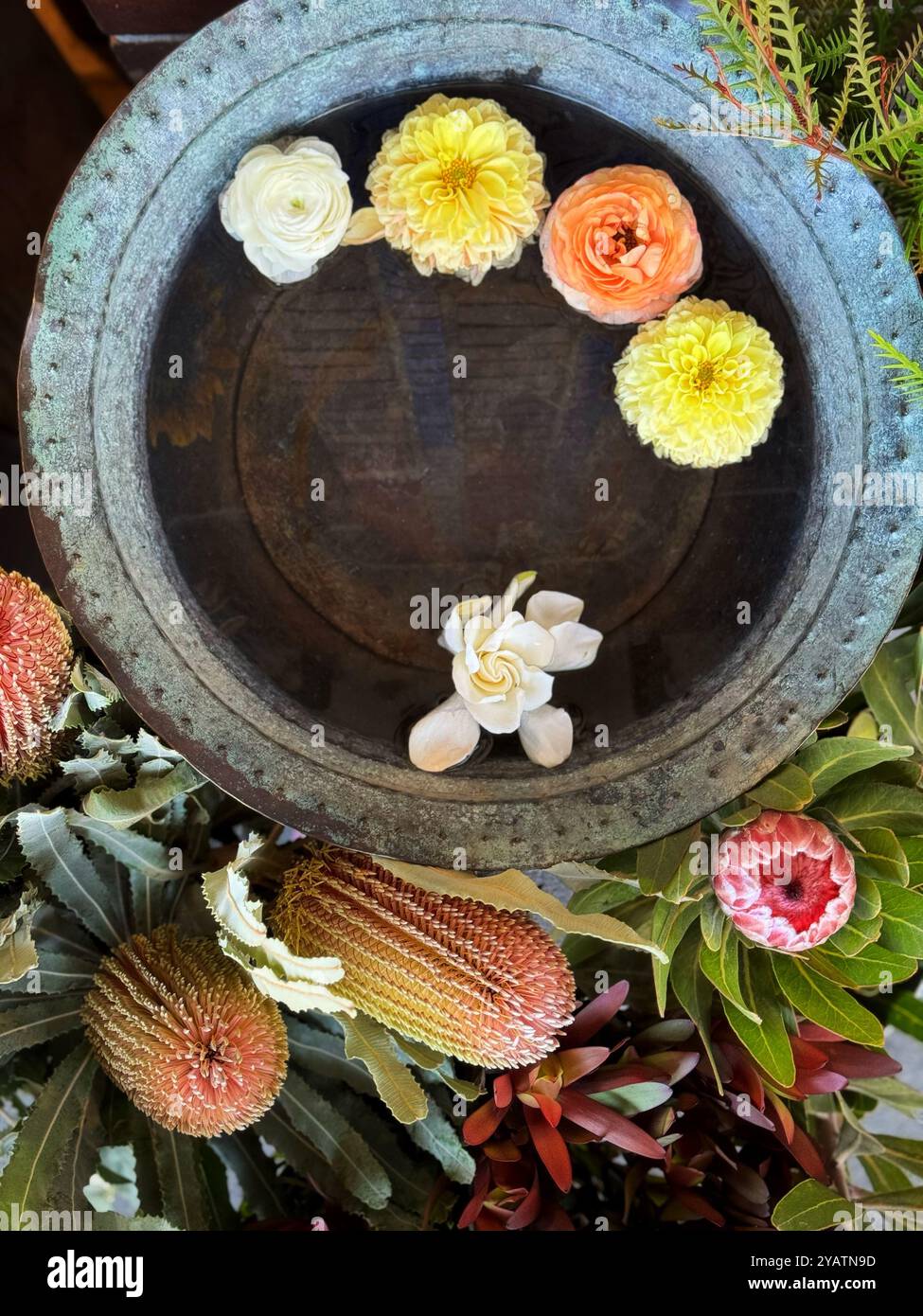 Flowers floating in a bowl of water. - Stock Image