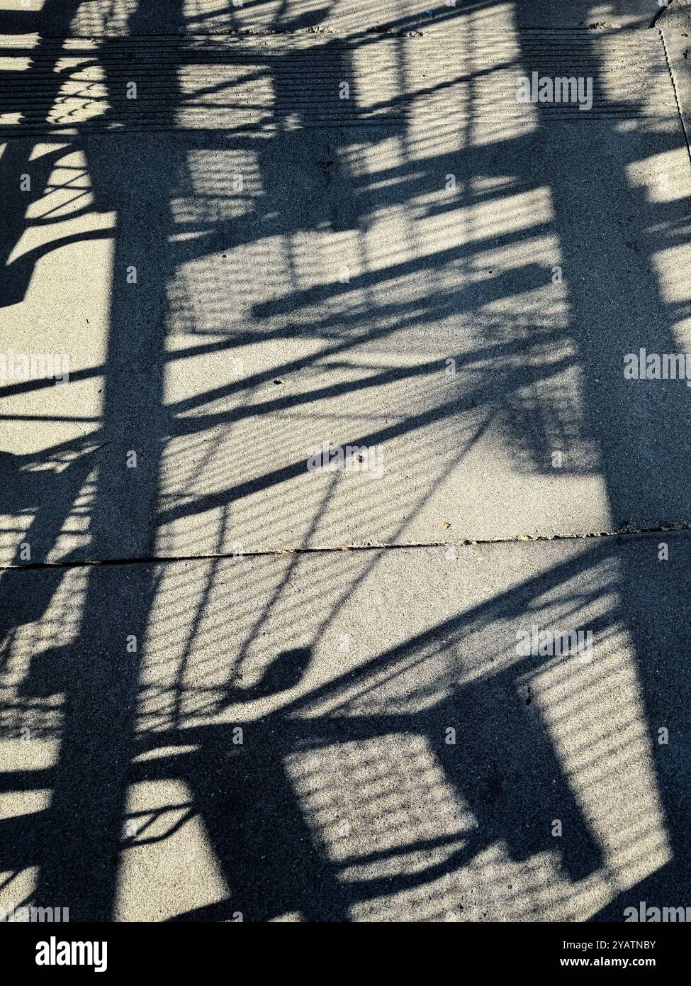 Shadows of shopping carts on the sidewalk at the grocery store. - Smartphone Captured Stock Image