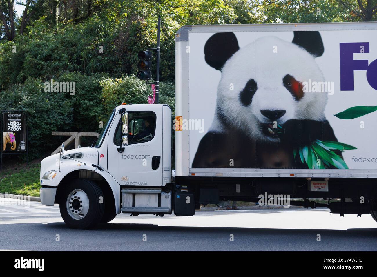 Washington, USA. 16th Oct, 2024. One of the trucks carrying pandas arrives at the Smithsonian's National Zoo and Conservation Biology Institute in Washington, DC, the United States, Oct. 15, 2024. A pair of giant pandas, Bao Li and Qing Bao, arrived at Washington, DC on Tuesday, after an approximately 19-hour trans-Pacific trip from Sichuan Province in southwest China. Credit: Aaron Schwartz/Xinhua/Alamy Live News Stock Photo