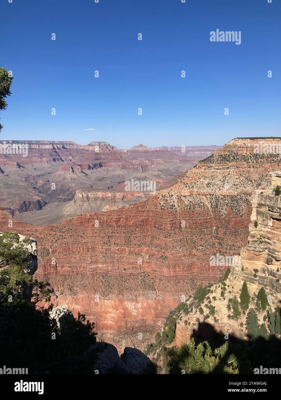 Grand Canyon in Arizona - Smartphone Captured Stock Image