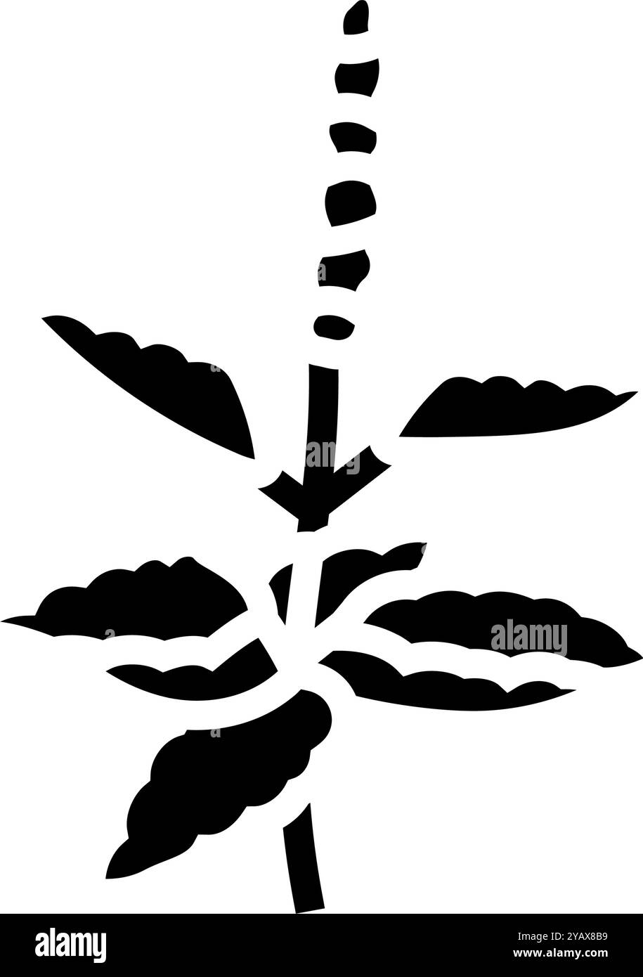 holy basil ayurvedic herb glyph icon vector illustration Stock Vector ...