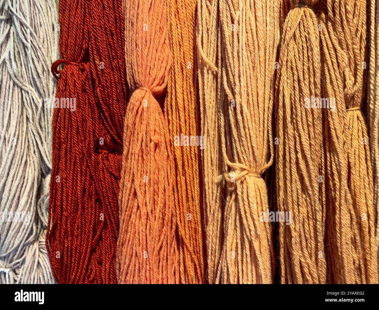Hanks of dyed multi-coloured yarn full frame background. A mobile phone photo with some phone or tablet post processing. - Smartphone Captured Stock Image