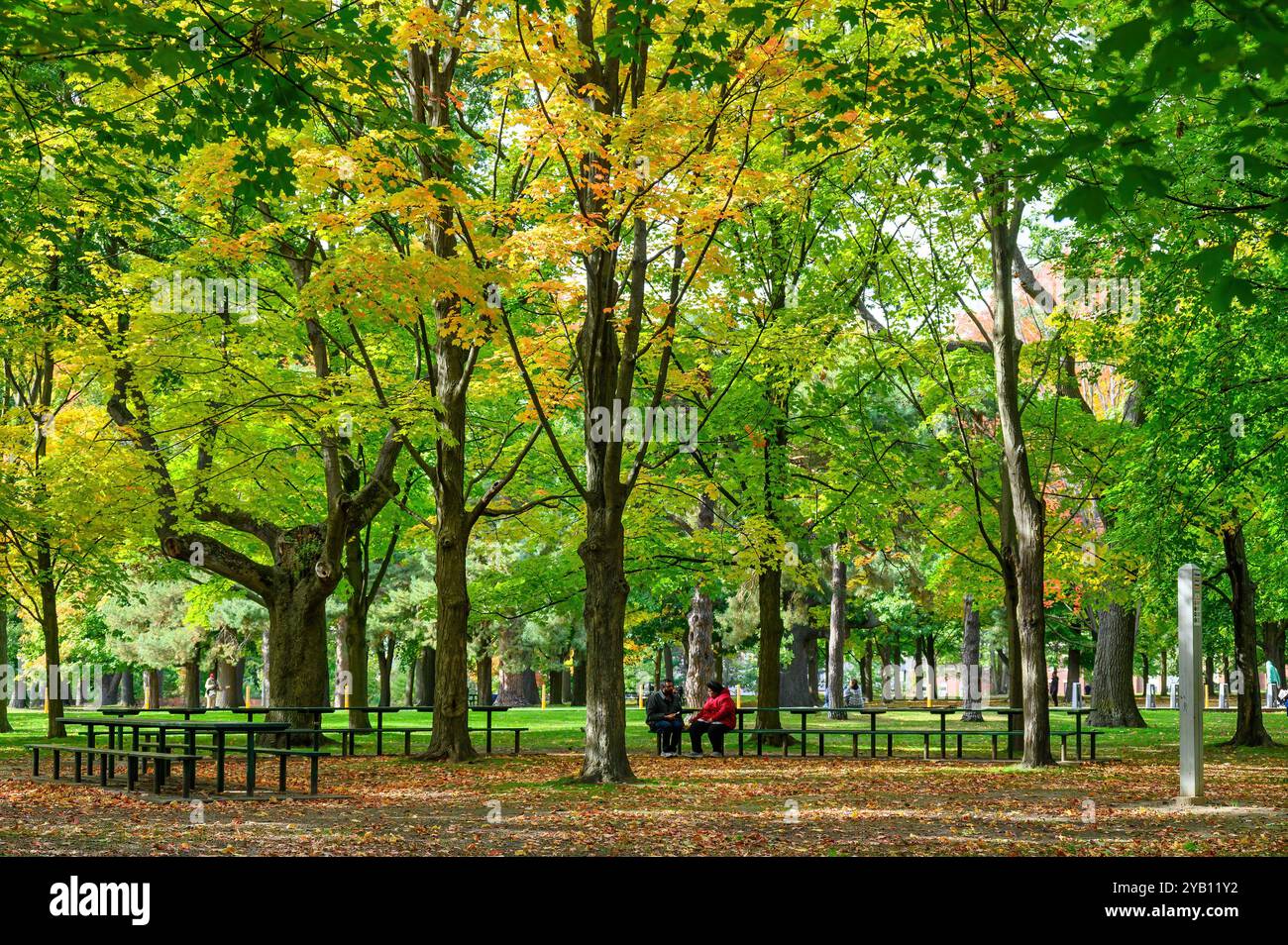 People enjoying nature in High Park at the beginning of the autumn season. Stock Photo