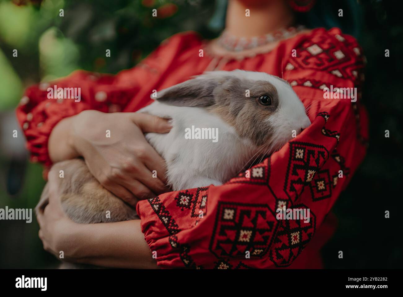 Easter rabbit bunny clothes outfit costume hi-res stock photography and ...