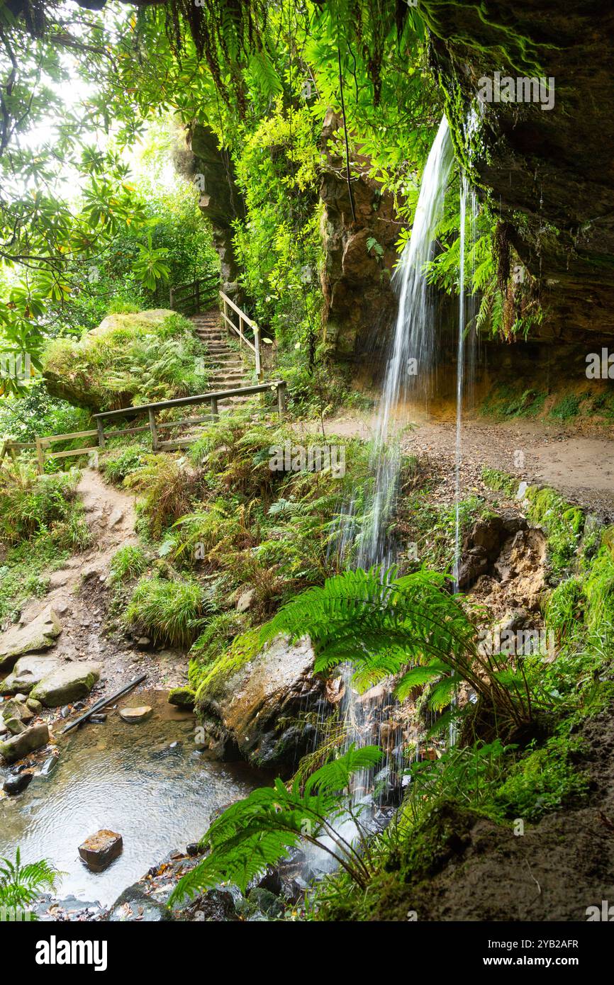 Path Behind the Yad Waterfall on Maspie Burn on the Falkland Estate near Falkland Fife Scotland Stock Photo