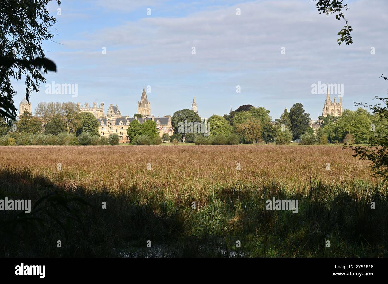 A view of Christ Church, Oxford from Christ Church Meadow Stock Photo
